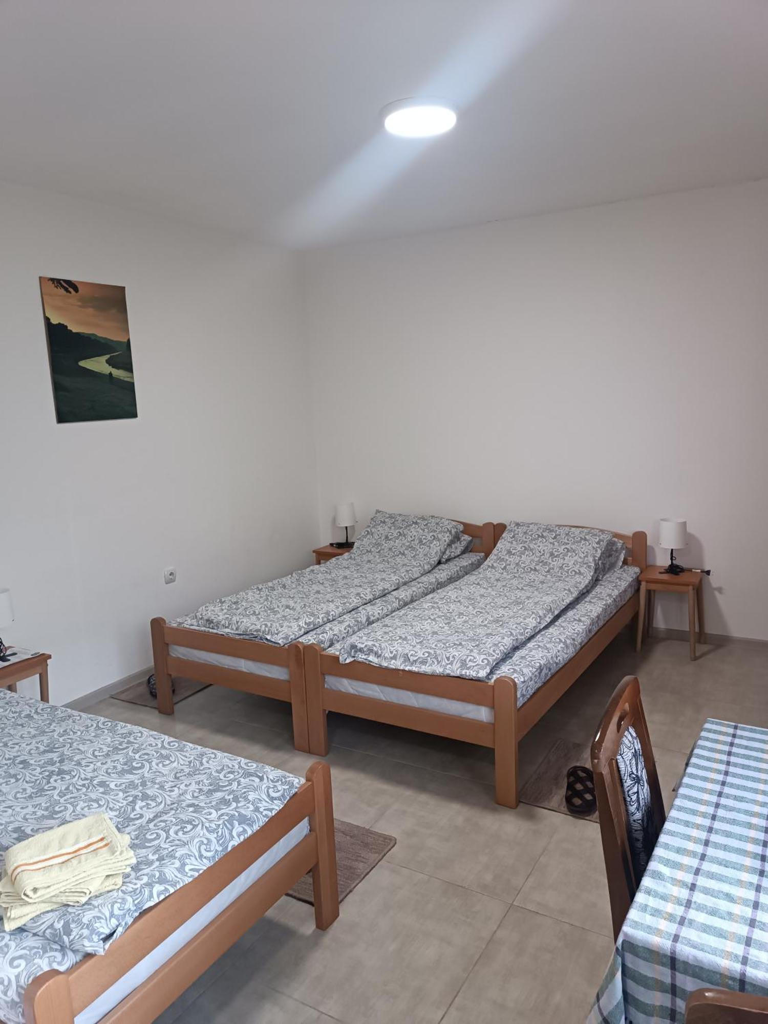 Adamovic Apartment Pirot Bagian luar foto